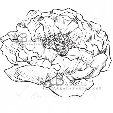 Rubber stamp ID-1051 "peony1 40x30mm"