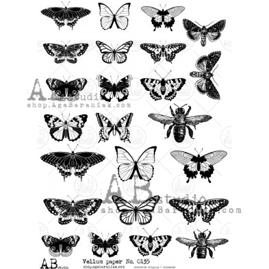 Kalka artystyczna 0135 motyle