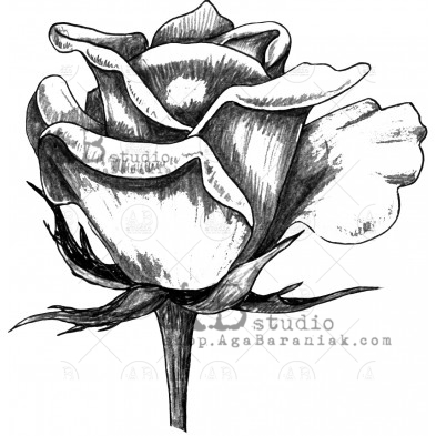 Rubber stamp ID-1316 " small roses"
