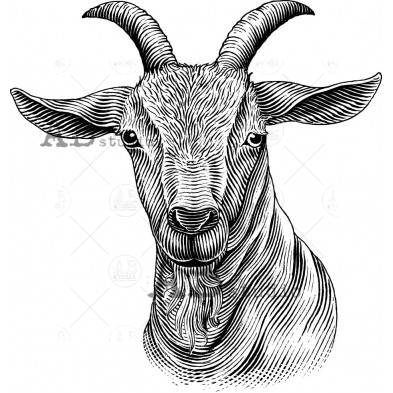 Rubber stamp ID-1499 farmhouse animal goat