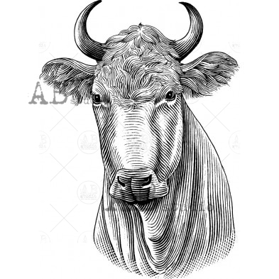 Stempel gumowy ID-1500 farmhouse animal krowa