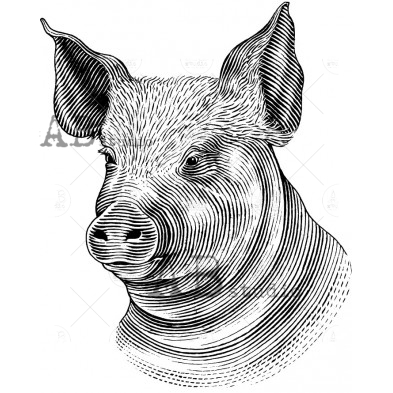 Rubber stamp ID-1502 farmhouse animal piggy