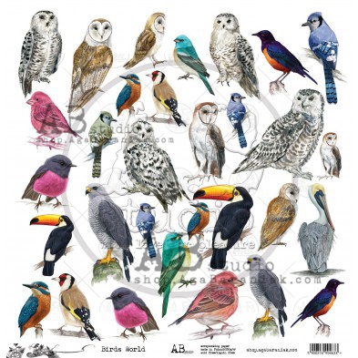 Papier do scrapbookingu Scrapbooking paper ABstudio - Birds World 12'x12'