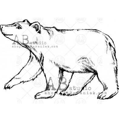 Stempel gumowy ID-554 "niedźwiedź"