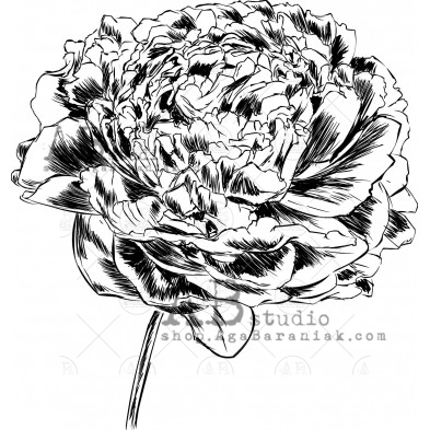 Rubber stamp ID-585 "peony"