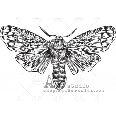 Rubber stamp ID-881 "moth"